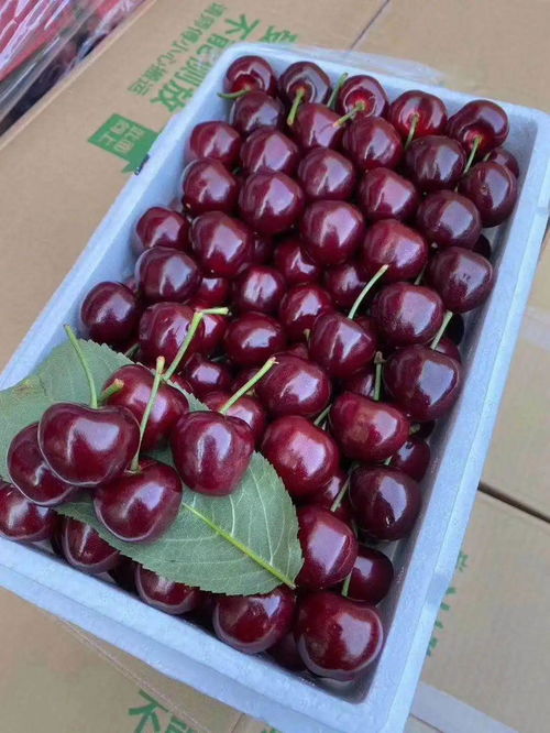 蔬菜水果批发市场里的